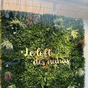 Création vitrine végétal et logo bois